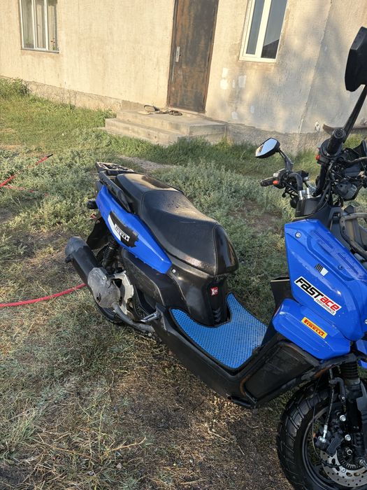 Оздеріның көресыздер танау оздеріңде