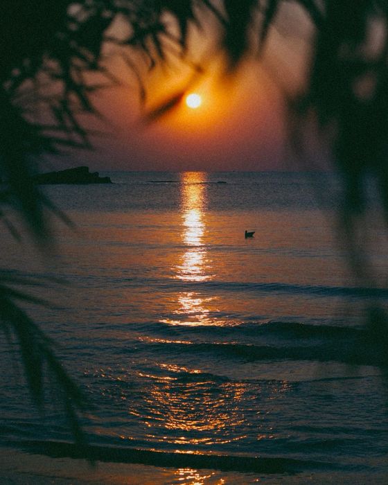 Каравана Tabbert Comtesse с дървена конструкция-Еко Къмпинг Черноморец