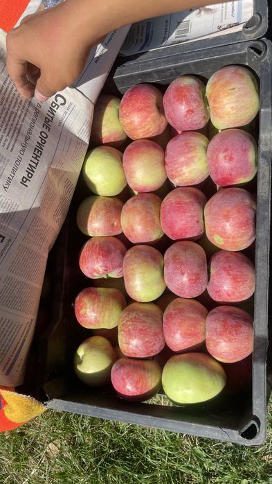 продам Алматинский АПОРТ