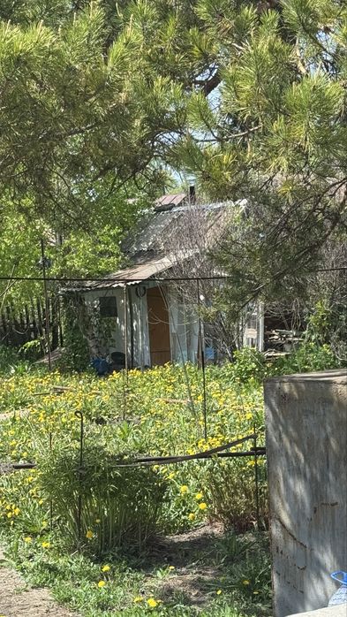 Продам дачу согара восточный