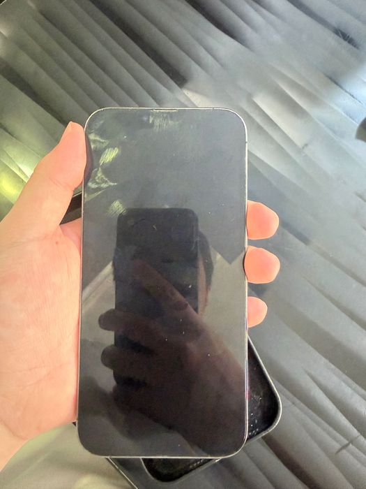 iPhone 13 Pro Max 256GB