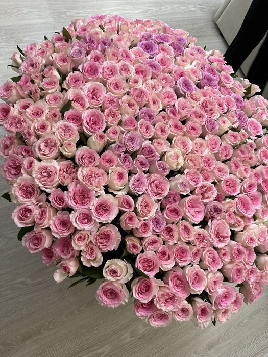 301 роза в идеальном состояний