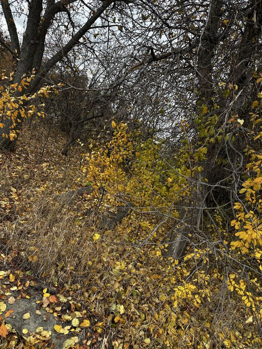 Продам дачный участок