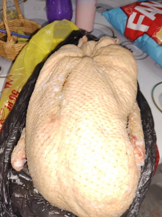 Гусь домашний 3-4кг