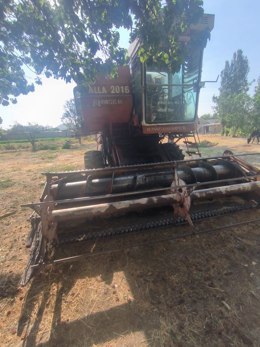 Enesi kanbayin sotiladi