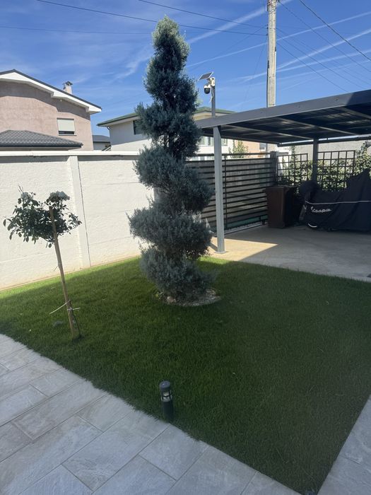 Mentenanță grădini Ilfov