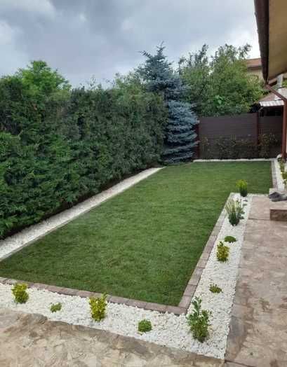 Montaj Gazon Rulou din Pepinieră – Transport și Irigare Asigurate