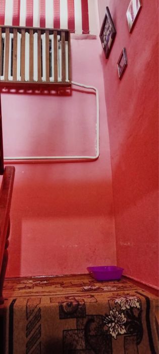 Продам коттедж осинное гнездо