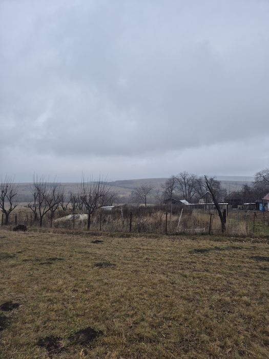 Teren ingradit in Sarata Dobreni de 1220 mp cu deschidere de 23,5 m