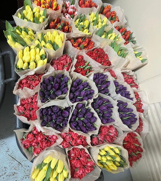 Тюльпан очень крупные