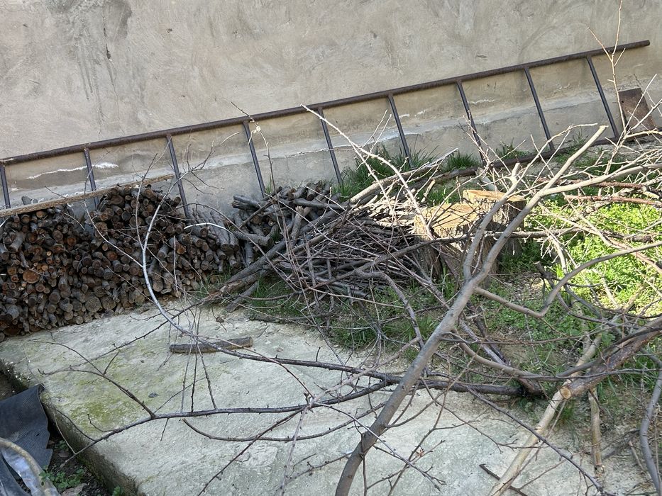 Ағаш отындар бар