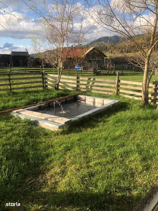 Casa P+1E + 3 ha Teren, Vatra Dornei, 125000 Euro