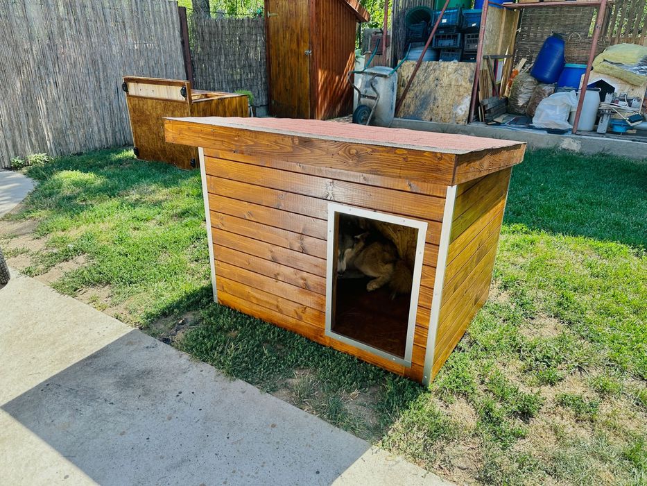 Cusca de caine premium cu încălzire pardoseală  livrare rapidă oriunde