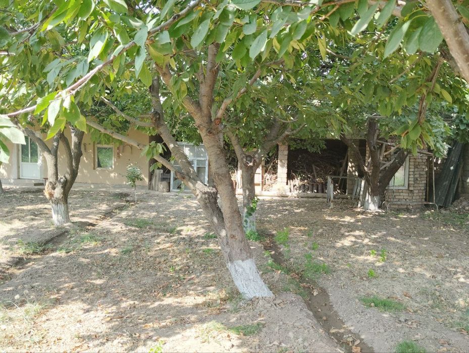 6 sotix yer sotiladi