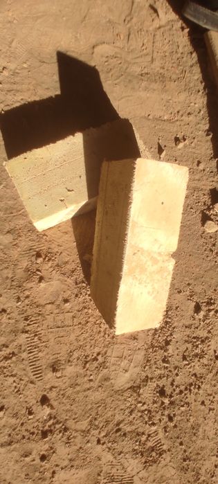 Пишган гишлар бор