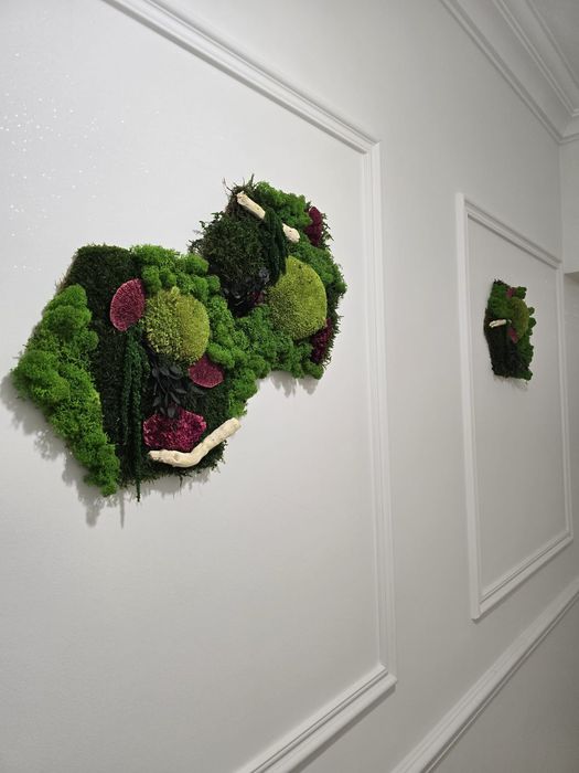 Apartament 2 camere Copou