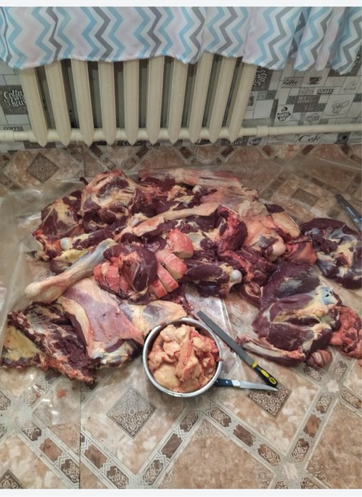 Қасапшы, Резчик!