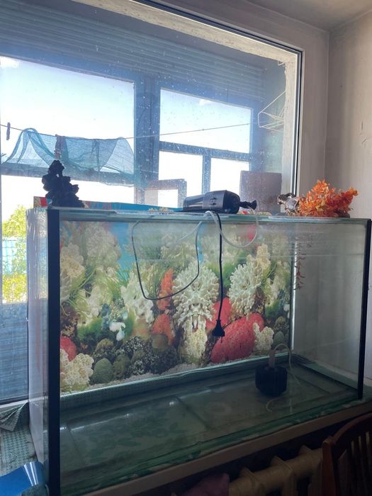 Продам аквариумы