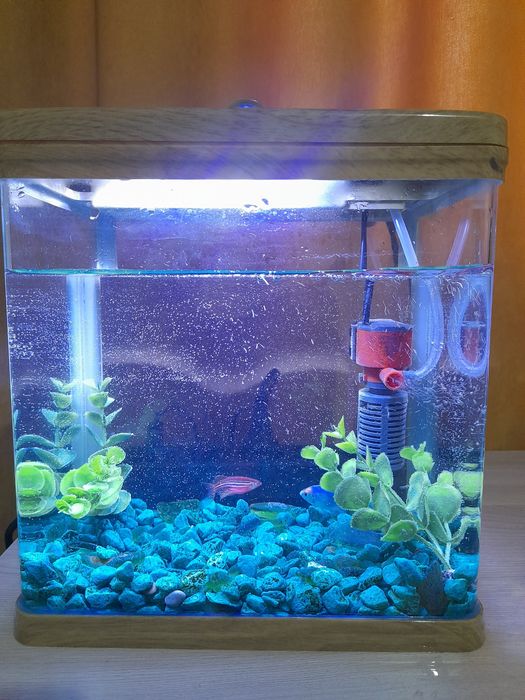 Продам Аквариум.