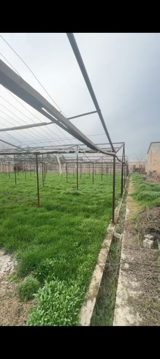 Ер арендага берилади