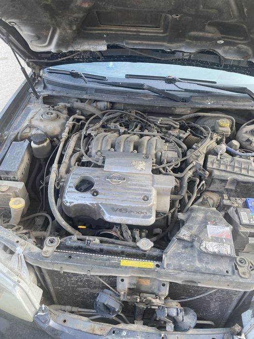 Nissan Maksima A33