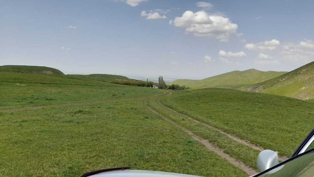 Срочно продается фазенда