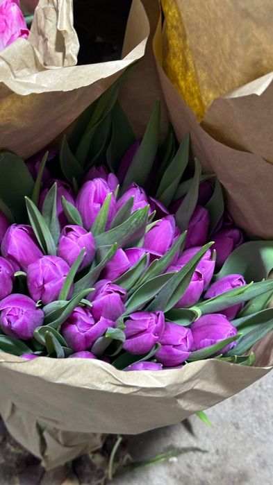 Тюльпаны оптом и в розницу