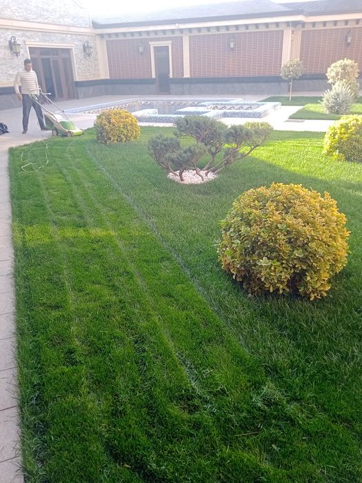 Gazon landshaft dizayn bogbon sadovnik archa strijka xizmati