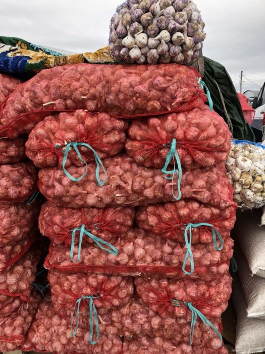 Usturoi curat pentru plantat