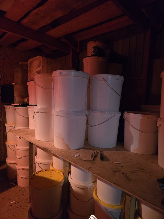 Өскемен балы мед ВКО