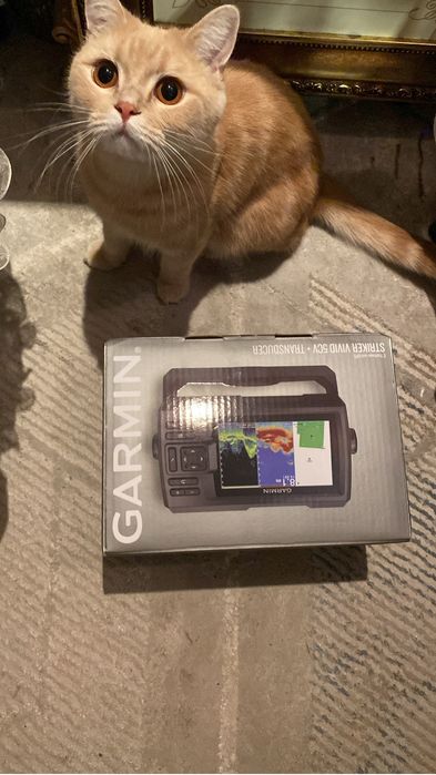 Лодка с мотором 20 л.с. И эхолот