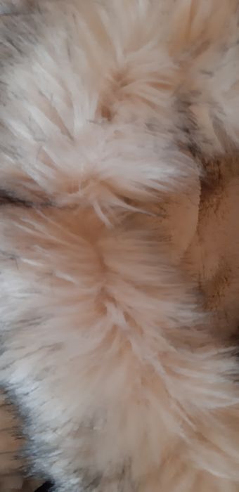 Якета чисто нови!