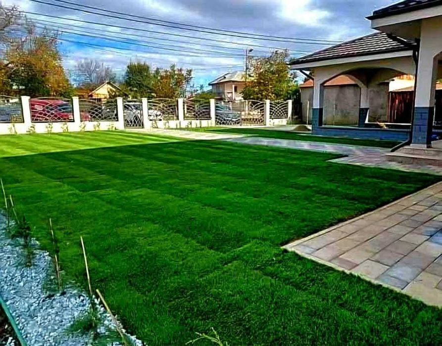 Amenajare grădini, toaletare pomi, scarificare-insamantare gazon!