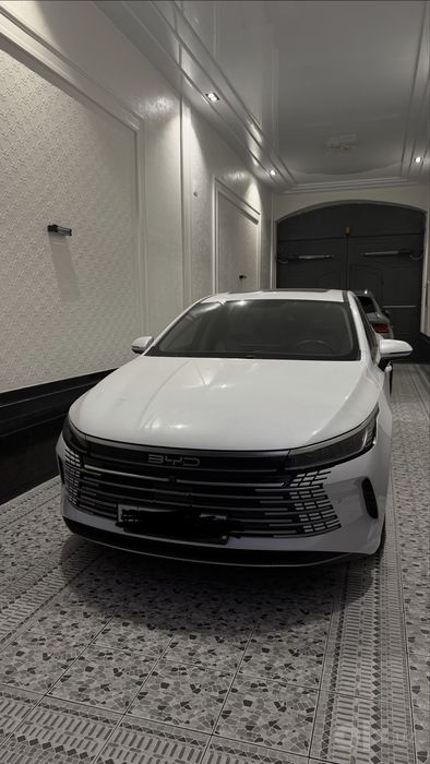 BYD Chazor 2024
