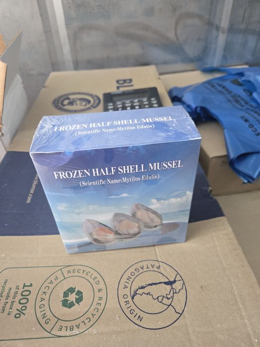 Мидии в половине раковины