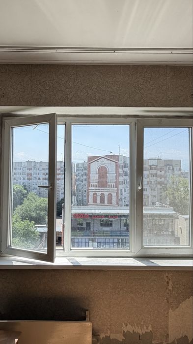 Пластиковые   окна (2 шт)