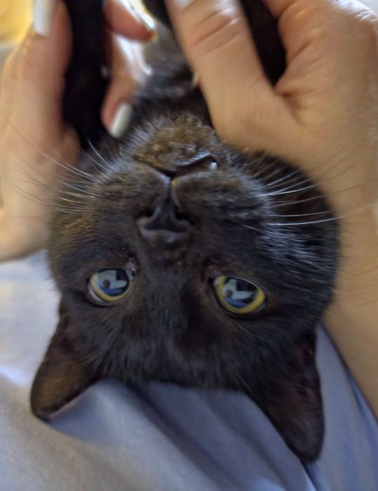 Очаровательный Тёма ищет дом!