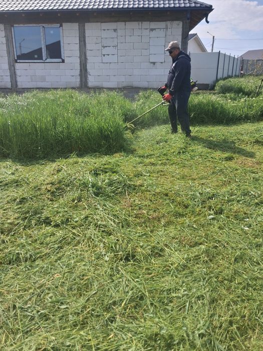 Transformăm curtea ta într-un spațiu verde modern, elegant și relaxant!
Oferim servicii profesionale de amenajare și întreținere pentru grădini, curți