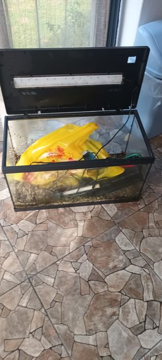 Acvariu  50 L echipat