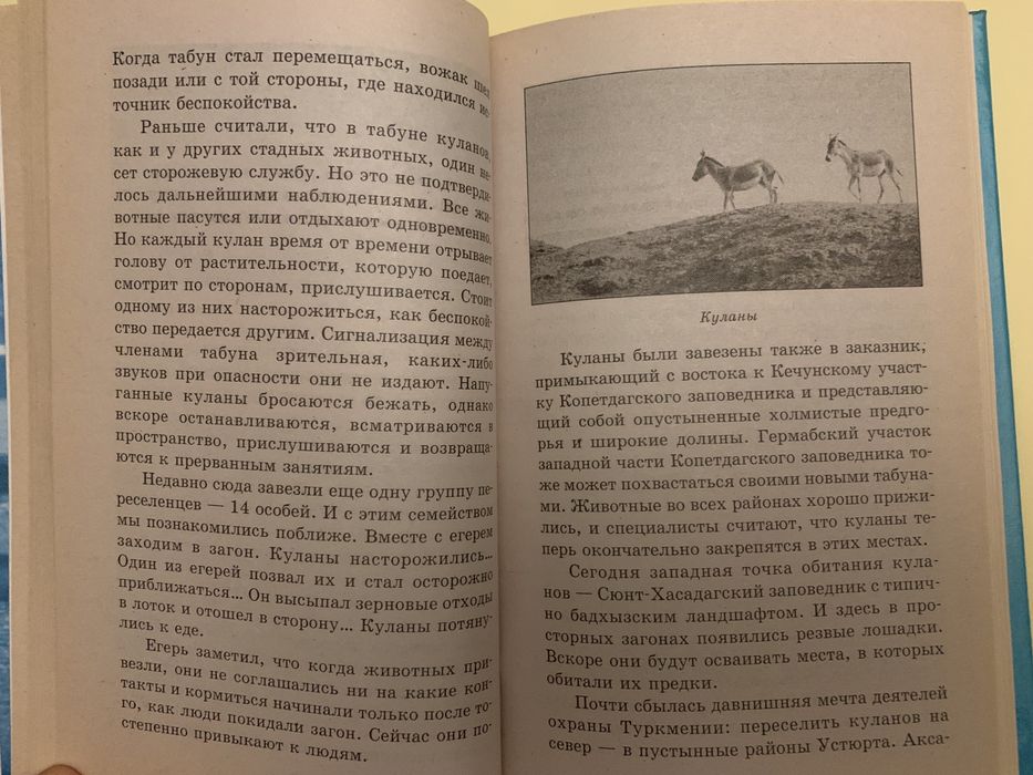 Энциклопедия цена 1500 тг