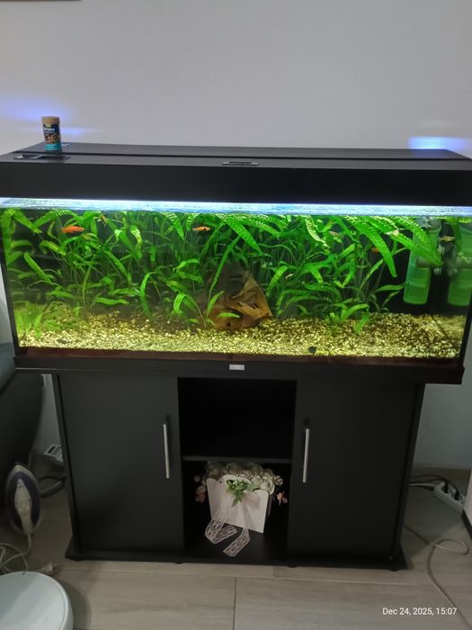 Acvariu Juwel Rio 240