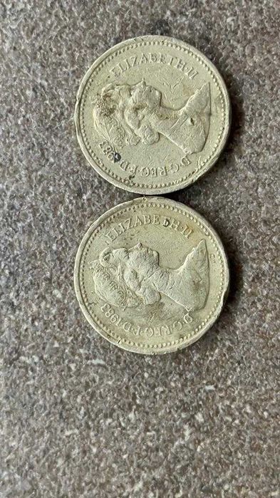 monede one pound