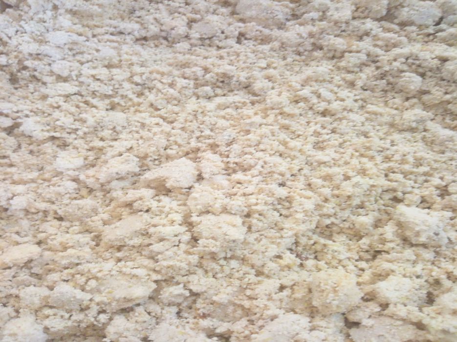 Белок сигирларни сутини купайтирувчи ем