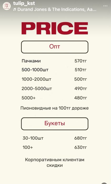 Тюльпаны пионовидные и обычные