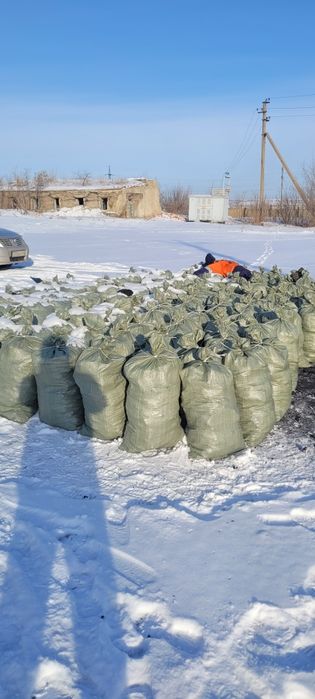 Уголь Сарыколь 700 тенге мешок