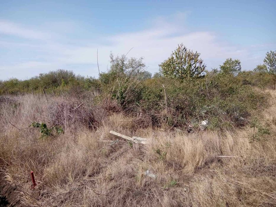 Продава се Парцел в Поморие - 8148 кв.м за 6 €/кв.м - Снимка #8