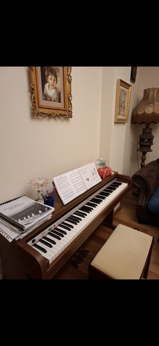 Predau ore pian si canto clasic.