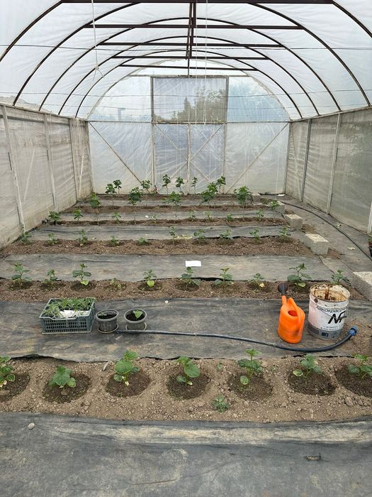 Теплица в комплекте