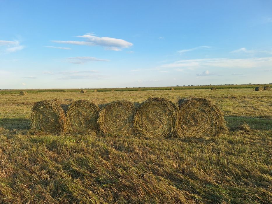Продам рулоны сена