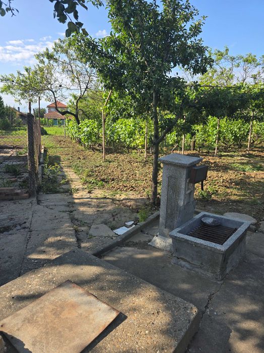 Къща,лозе и селскостопански сгради